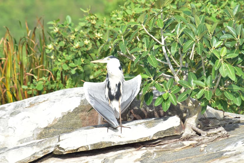 Kalametiya Bird Sanctuary
