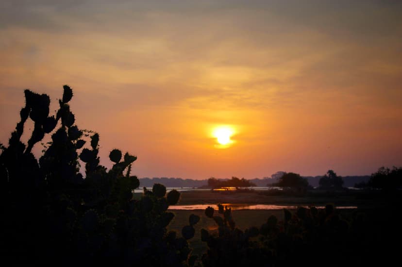 Experience Sri Lanka's beauty of Sri Lanka